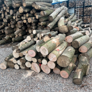 Stammholz – Hartholzmix