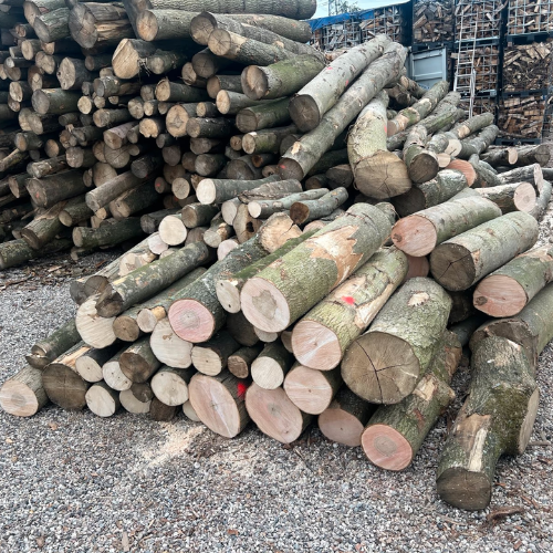 Design-sans-titre-98.png Stammholz – Hartholzmix - Image 1